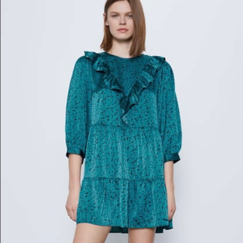 Zara Animal Print Dress